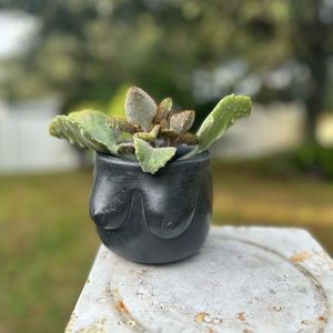 Concrete planter Boobies for succulents,cactus or other small plants.HANDMADE
